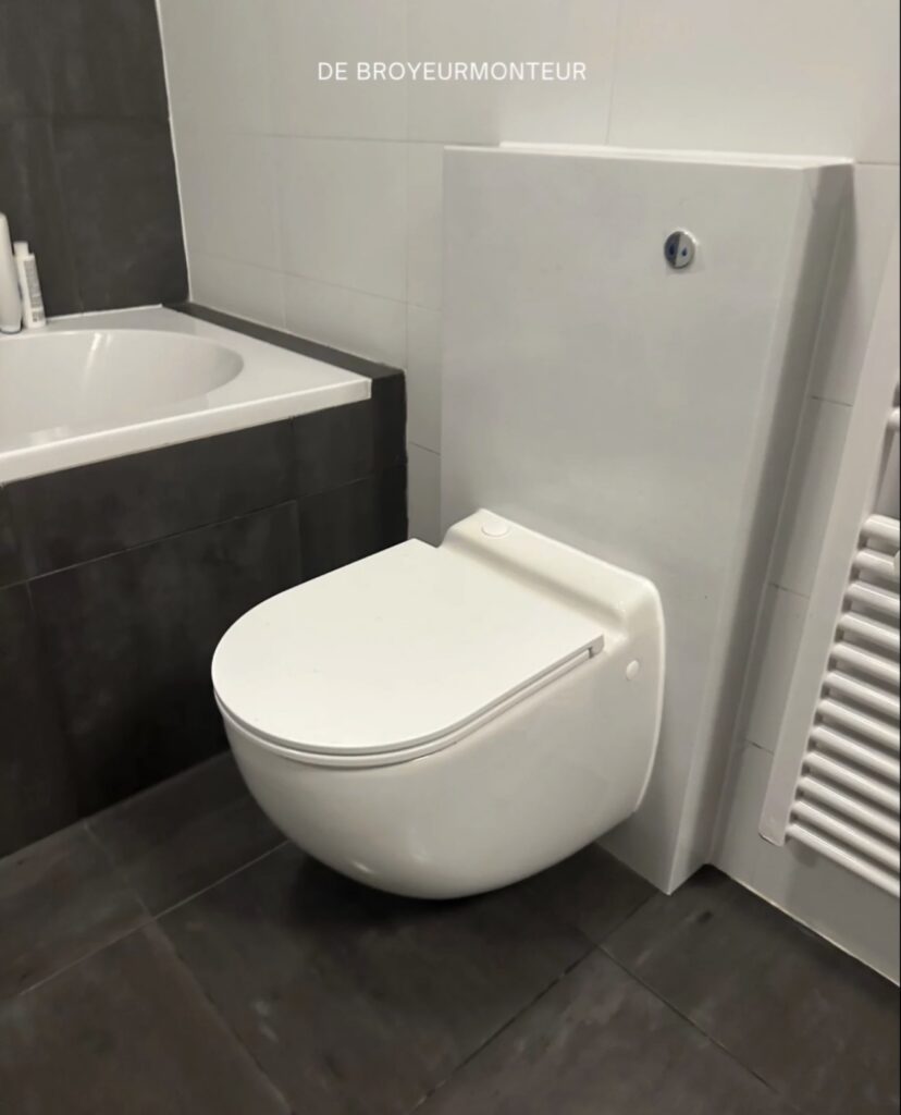 Geplaatst hangtoilet met witte achterwand naast een wastafel
